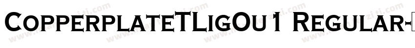 CopperplateTLigOu1 Regular字体转换